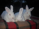DSCN0566
