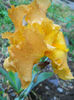 DSCN4614