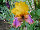 DSCN4628