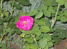 DSCN8659_4119