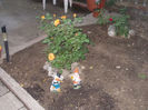 DSCN8662_4122