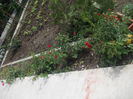 DSCN8683_4143