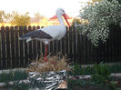 DSCN8714_4174