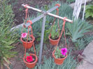 DSCN8717_4177