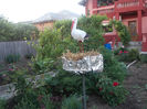 DSCN8719_4179