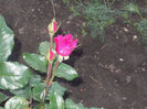 DSCN8720_4180