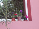 DSCN8723_4183