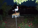 DSCN8725_4185