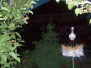 DSCN8726_4186