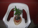 DSCN8732_4192
