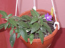DSCN8665_4125