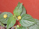 DSCN8667_4127