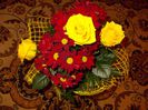 DSCN0509