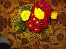 DSCN0510