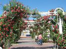 IMG_3702