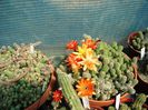 DSC00870