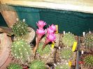 DSC00895