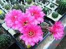 DSC00912