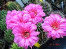 DSC00922