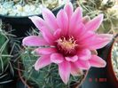 DSC00934