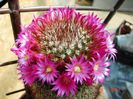 DSC00936