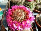DSC00944