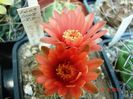 DSC00945