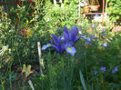 DSCF0994