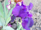 DSCN4645