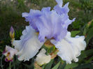 DSCN4653