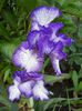 DSCN4659