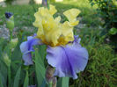 DSCN4663