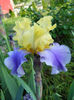 DSCN4665