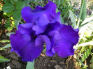 DSCN4668