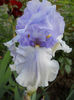DSCN4679