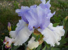 DSCN4680