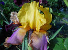 DSCN4686