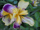DSCN4698