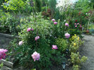 DSCF2754