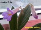 chirita erika