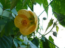 P1430791
