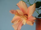 17 mai 2013