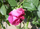 SDC12772
