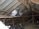DSCF7467