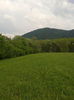 2013-05-12 16.53.07