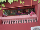 DSCN8812_4272