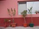 DSCN8763_4223