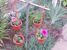 DSCN8778_4238