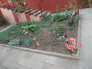 DSCN8799_4259