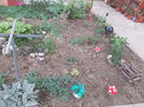 DSCN8800_4260